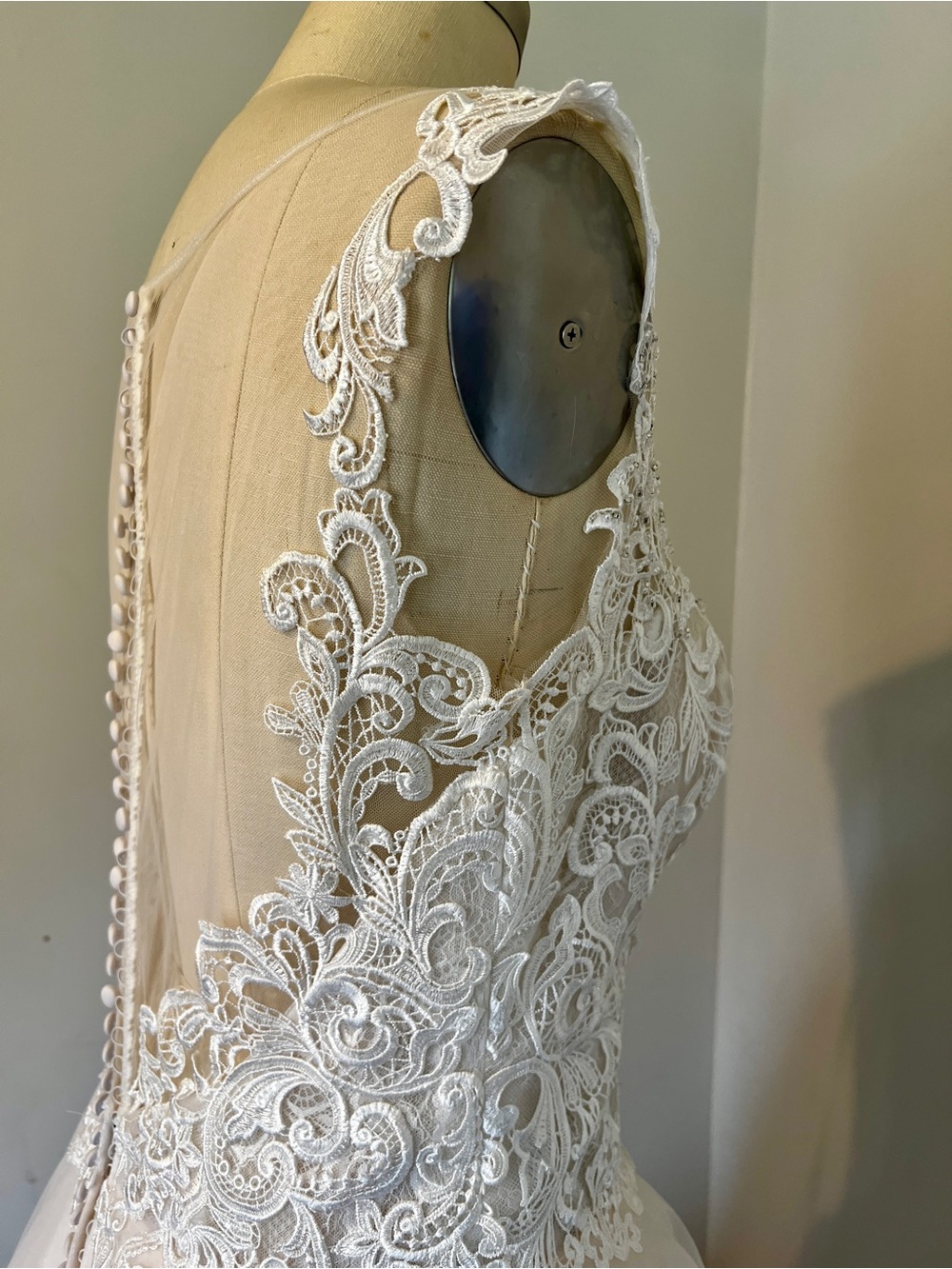 Blush Lace A-Line Wedding Dress - Picture 9 of 10